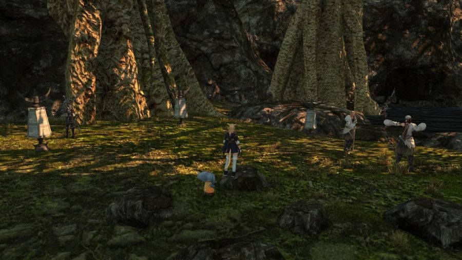 All FFXIV Training Dummy locations Pro Game Guides