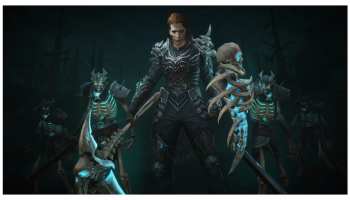 Are there followers or mercenaries in Diablo Immortal?