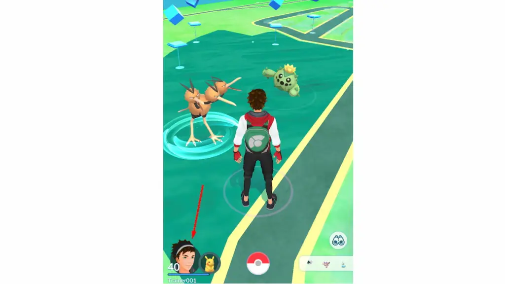 Pokemon Go gameplay