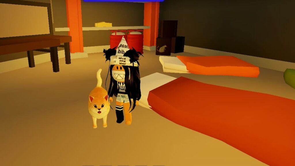 How To Befriend The Cat In Roblox Break, How To Turn On The Basement Lights In Break Story Roblox