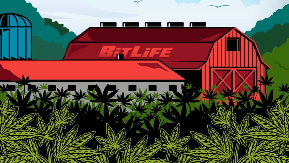 A weed farm in BitLife