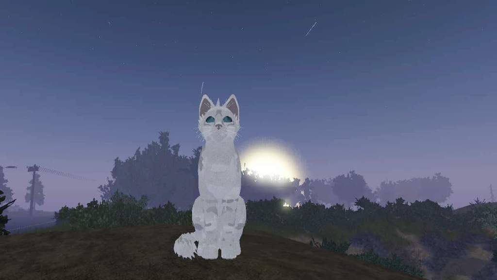 Warrior Cats: Skins Ideas! #13 (Roblox) 