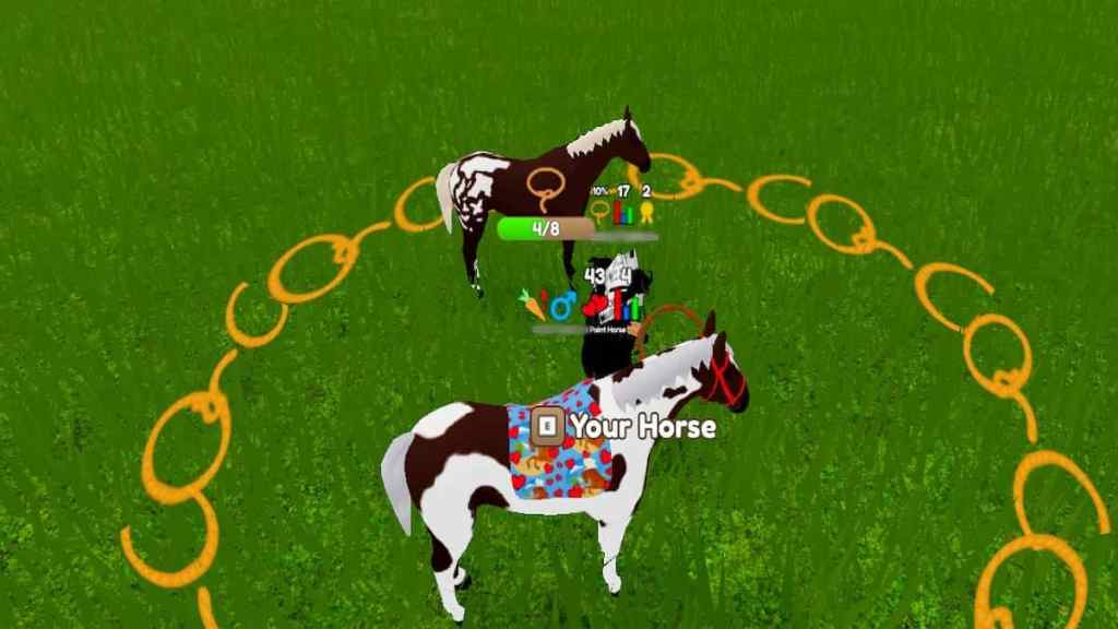 Friesian, Horse Valley 2 ROBLOX Wiki