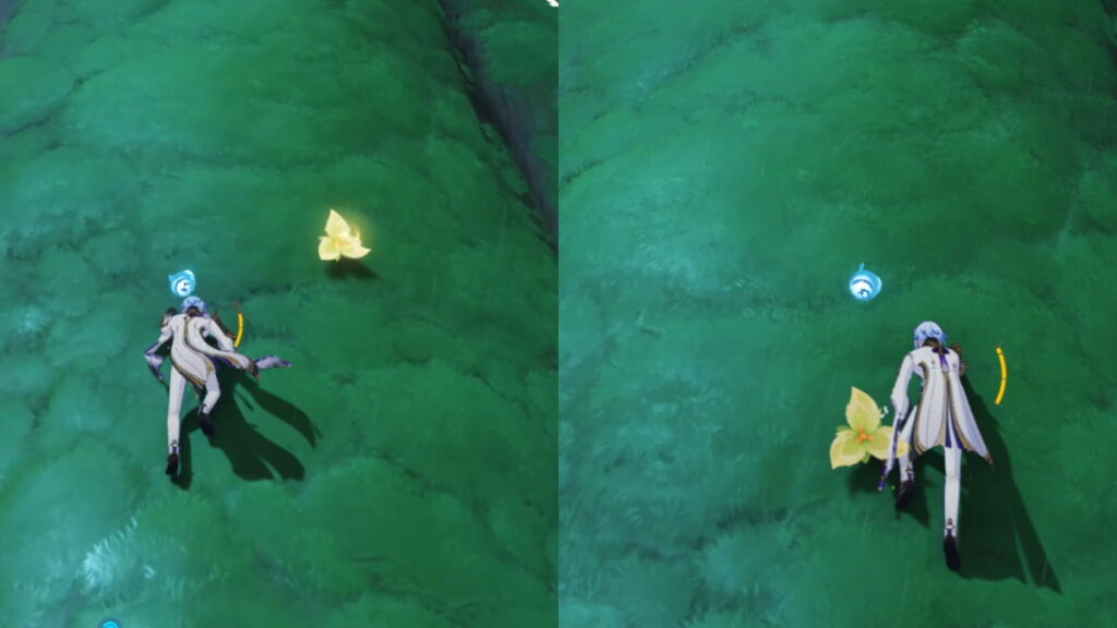 How to use Stamina restoring flowers in Sumeru in Genshin Impact Pro