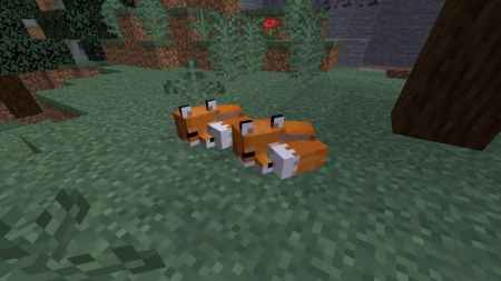 Minecraft Fox Update How to Tame a fox in Minecraft (2022) | Pro Game Guides