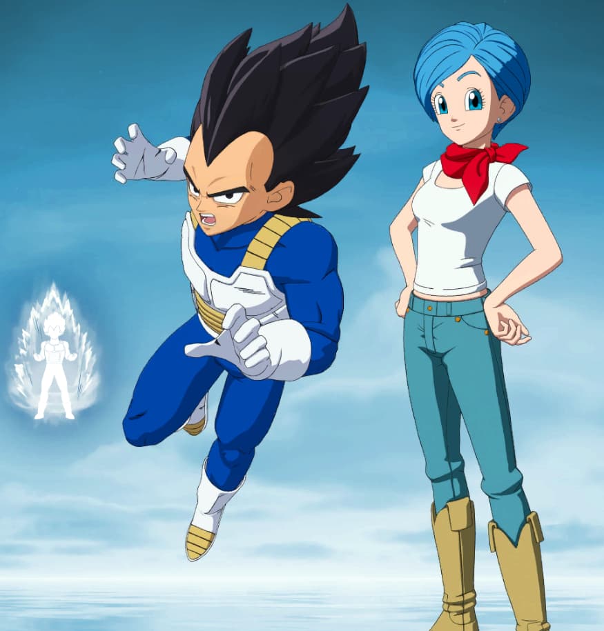 Vegeta & Bulma Bundle Bundle