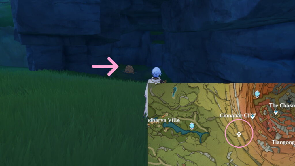 Sumpter Beastlord location in Genshin Impact.
