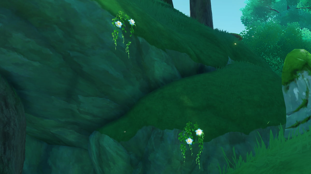 Where to find Kalpalata Lotus in Genshin Impact Pro Game Guides