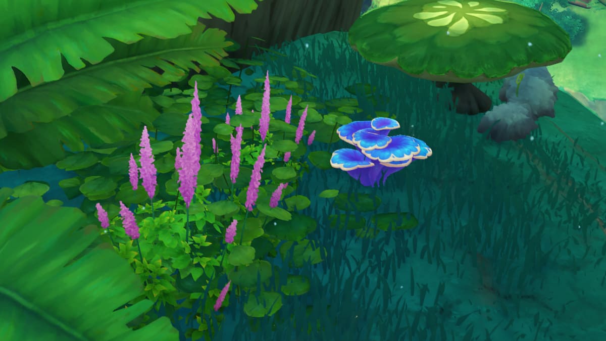 Where to get Rukkhashava Mushrooms in Genshin Impact Pro Game Guides