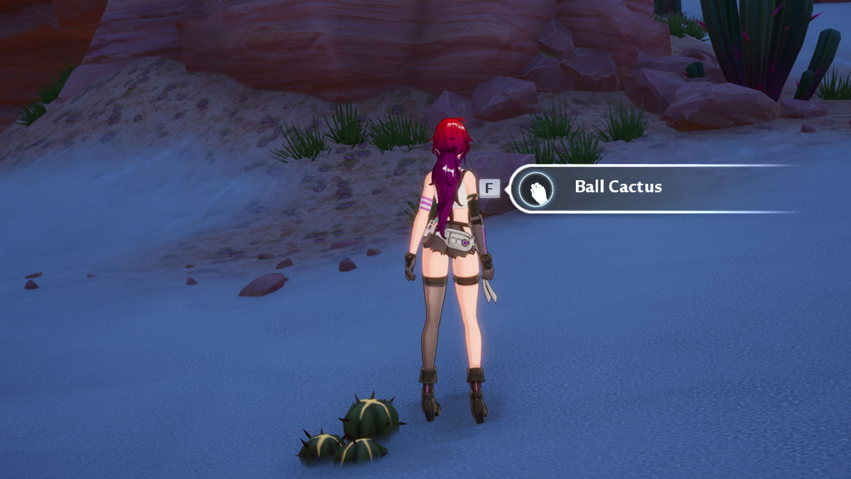 Where to find Ball cactus in Vera in Tower of Fantasy Pro Game Guides