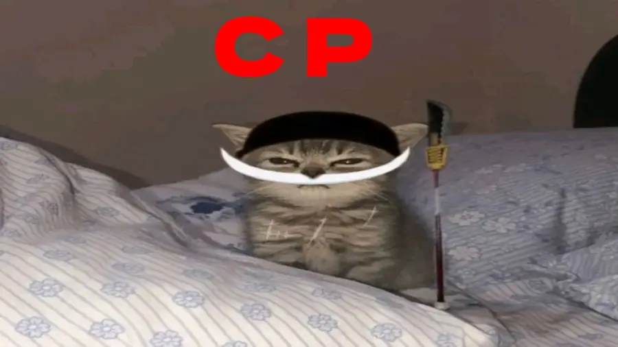 Gato disfrazado de Barbablanca para Roblox Cat Piece