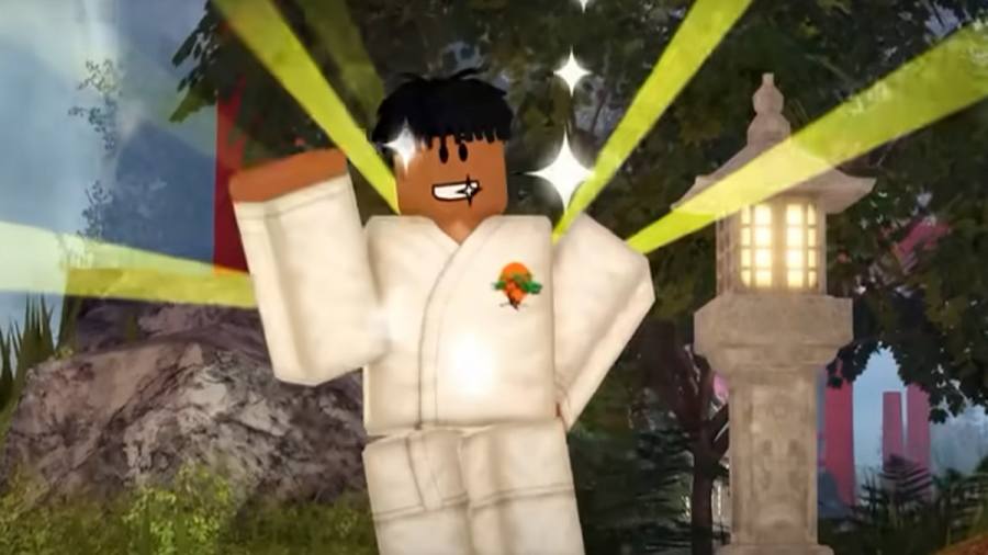 Character in Roblox Karate!