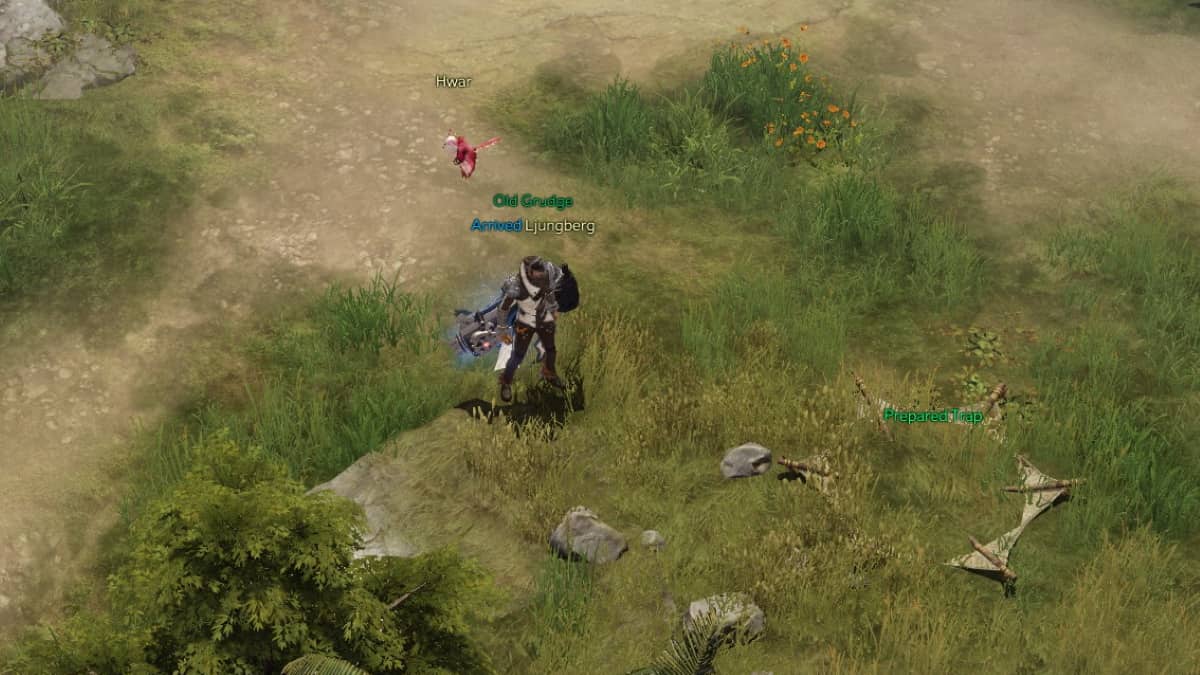 How long before you can collect a Hunting Trap in Lost Ark Pro Game