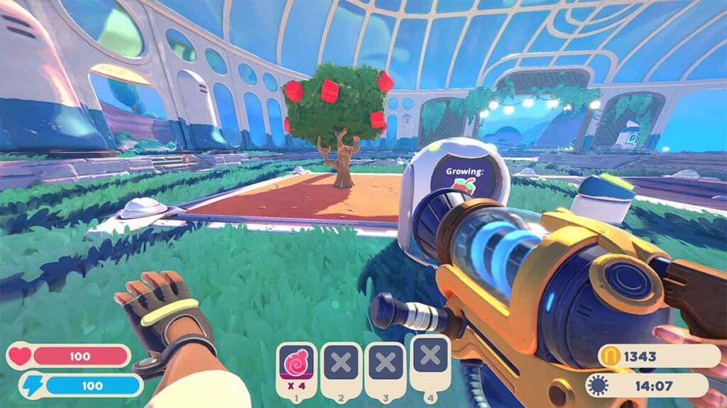 Мятное манго в slime rancher как найти