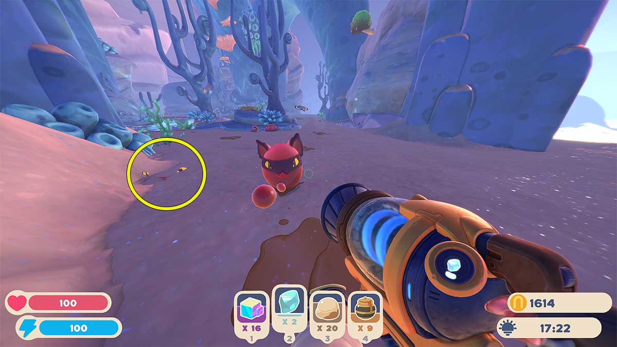 Мятное манго в slime rancher как найти