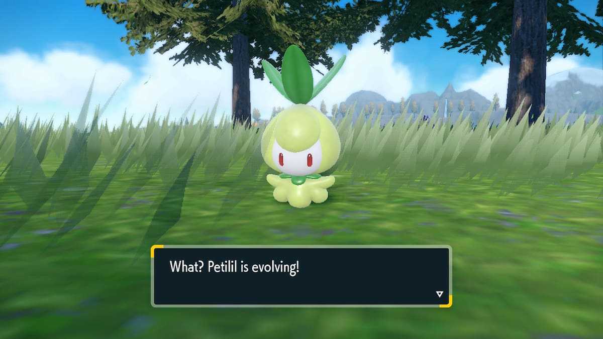 How to evolve Petilil into Lilligant in Pokémon Scarlet & Violet Pro