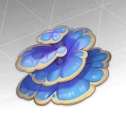 Rukkhashava Mushrooms