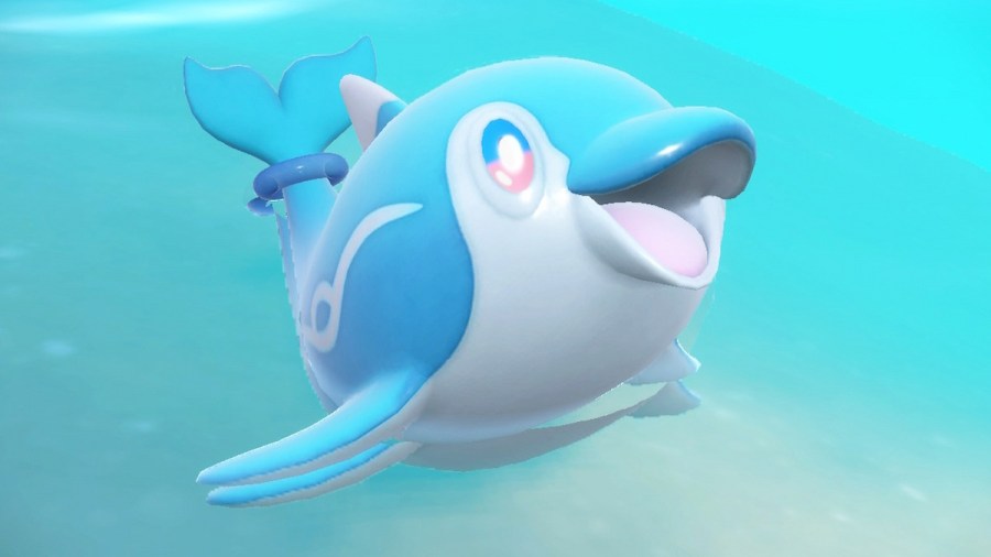 Where to find the Dolphin Finizen in Pokémon Scarlet & Violet Pro