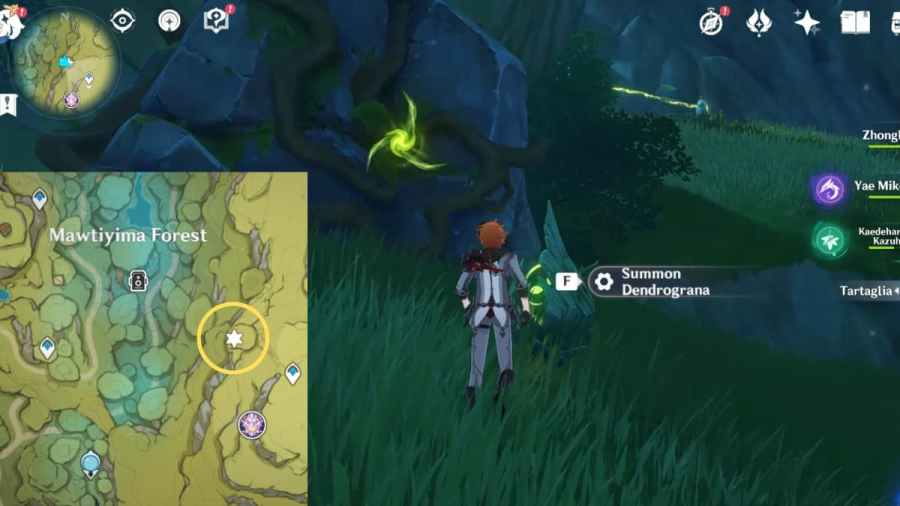 How to solve the hidden Dendro Barrier Luxurious Chest puzzle in