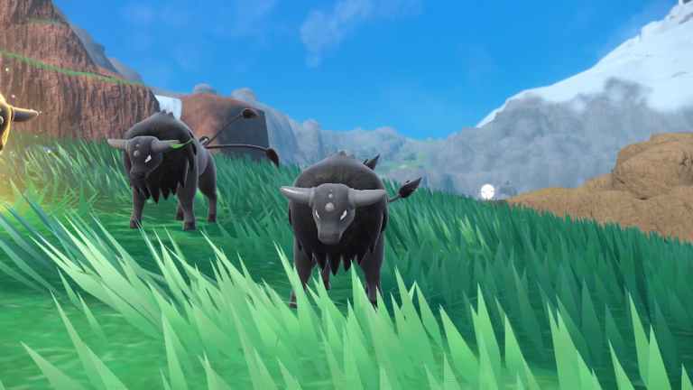 how-to-get-black-tauros-in-pok-mon-scarlet-violet-pro-game-guides