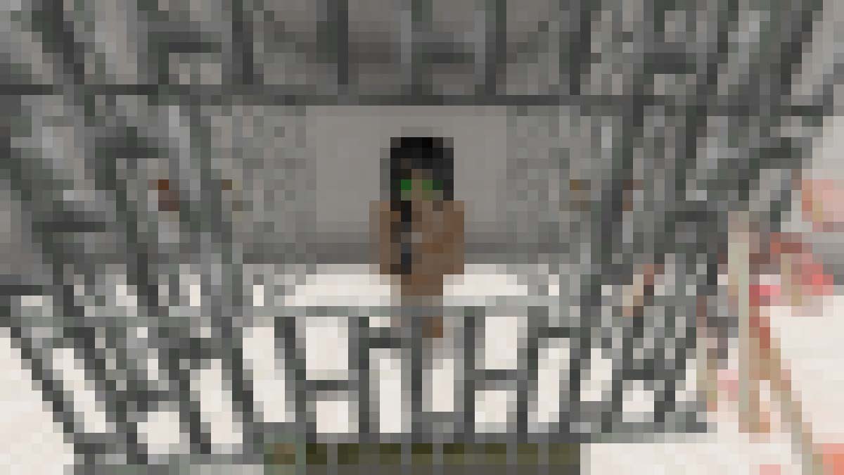 Top 5 Best Minecraft Sex Mods 3738