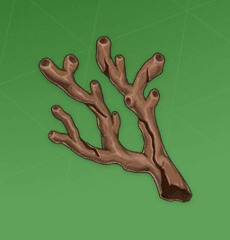 Coral Branch of a Distant Sea