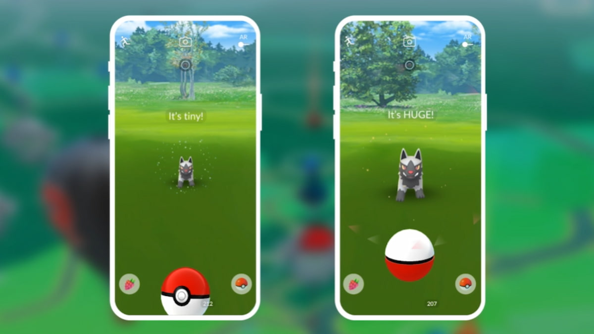 How to catch XXS and XXL Pokémon in Pokémon GO | Pro Game Guides