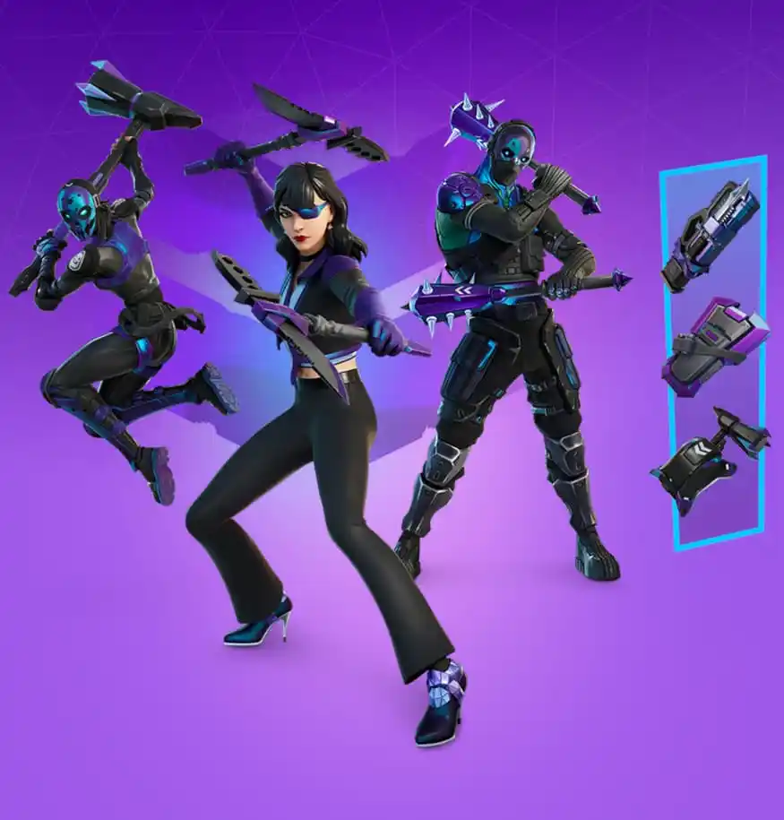 Fortnite Agency Renegades Pack Bundle Pro Game Guides 8351