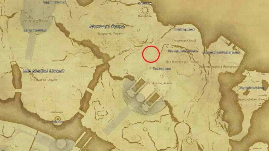 How to get Morneville Tree Bark in Final Fantasy XIV TOI News TOI