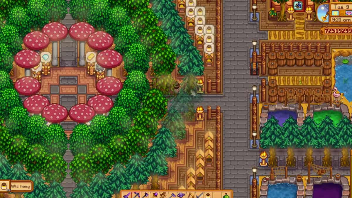 13 Best Stardew Valley Farm Layout Ideas