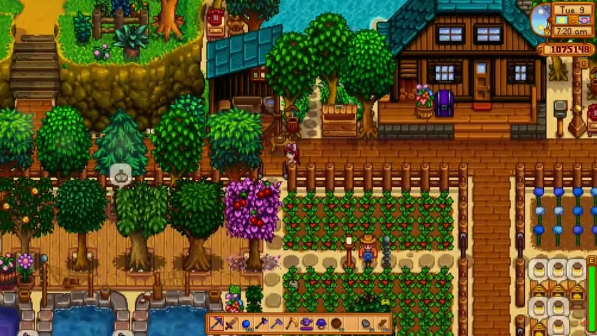 13 Best Stardew Valley Farm Layout Ideas