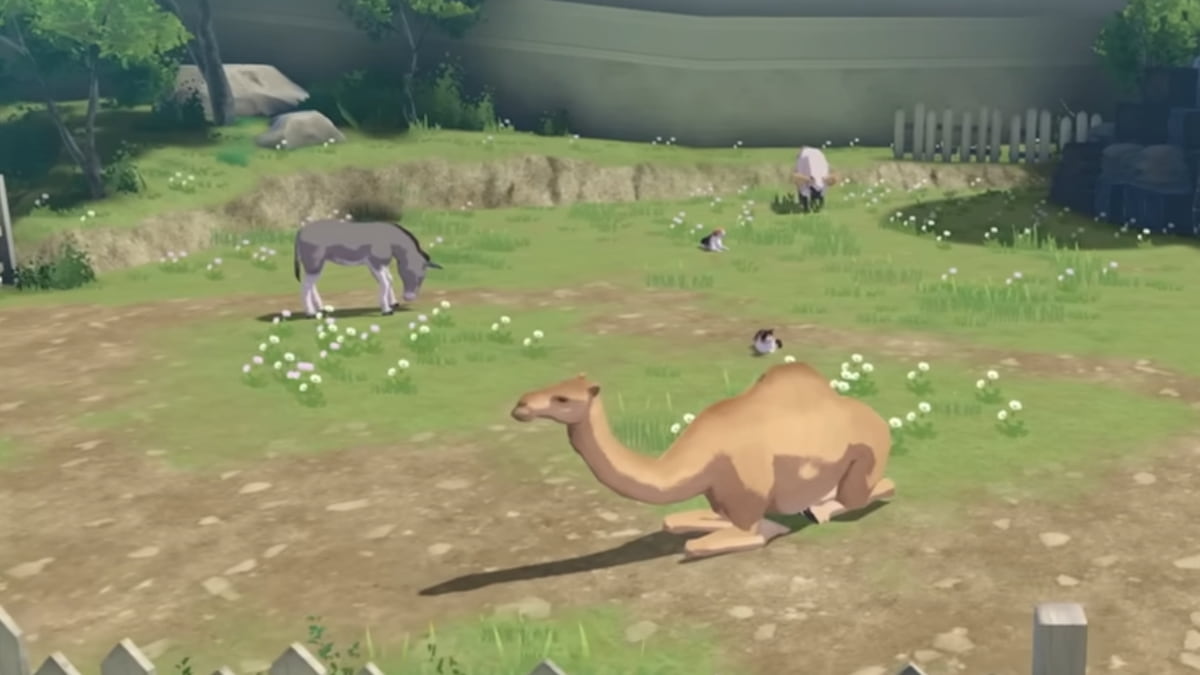 Screenshot via Nintendo YouTube