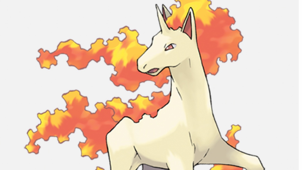 rapidash