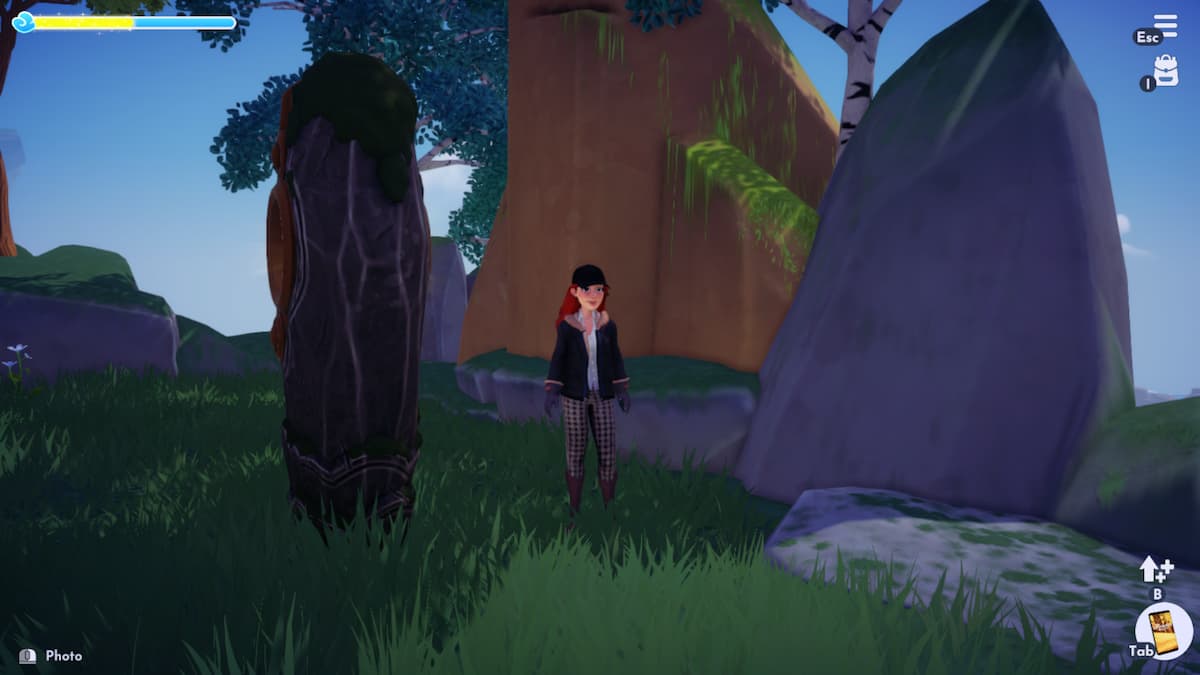 How to take a picture of the Pillar of Courage during A Story to Tell