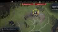 Dogweed And Deathcap Location In Hogwarts Legacy Pro Game Guides