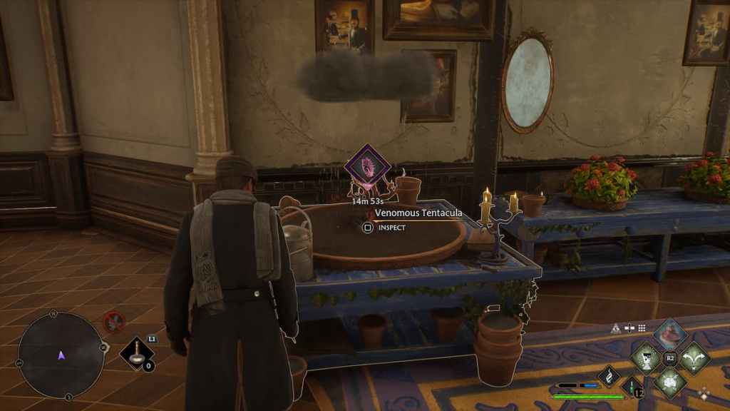 how-to-get-medium-plant-pot-size-table-hogwarts-legacy-youtube