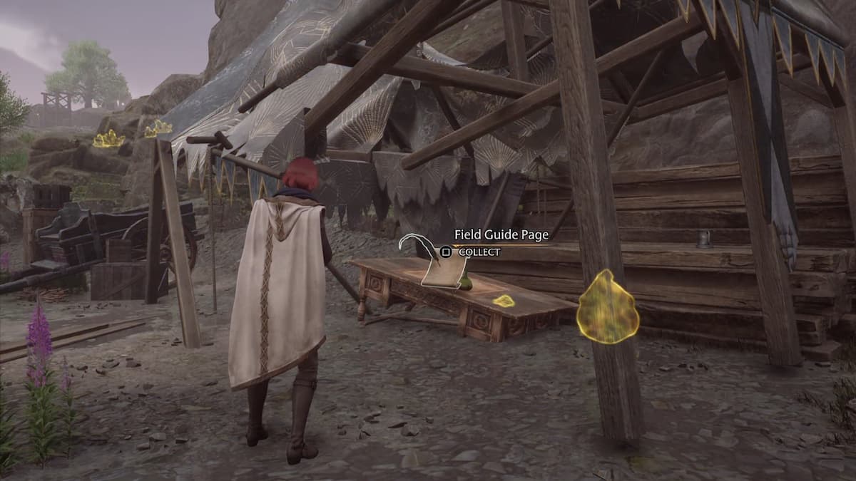 All Clagmar Coast Field Guide Page Locations in Hogwarts Legacy Pro