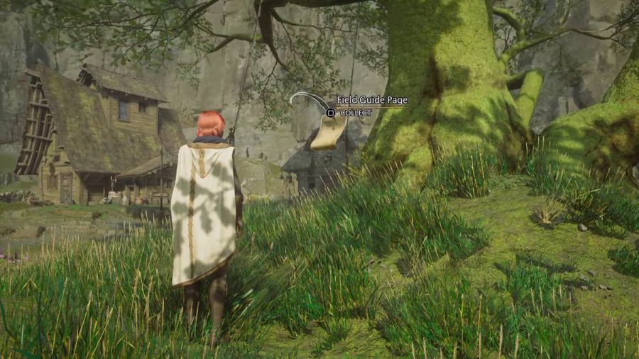 All Clagmar Coast Field Guide Page Locations in Hogwarts Legacy Pro