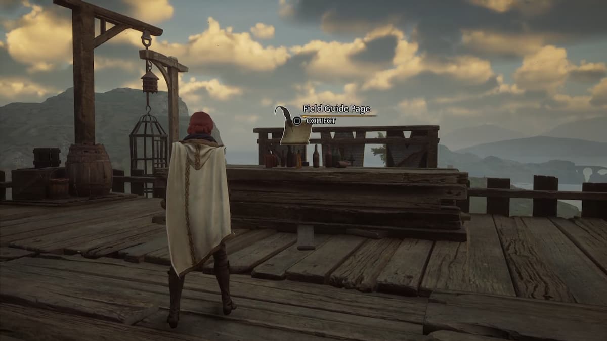 All Clagmar Coast Field Guide Page Locations in Hogwarts Legacy Pro