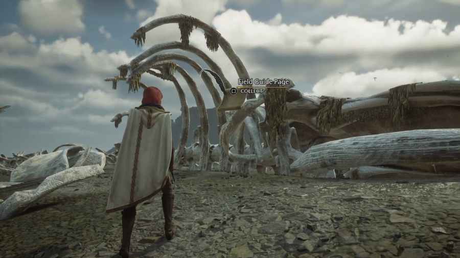 All Clagmar Coast Field Guide Page Locations in Hogwarts Legacy Pro