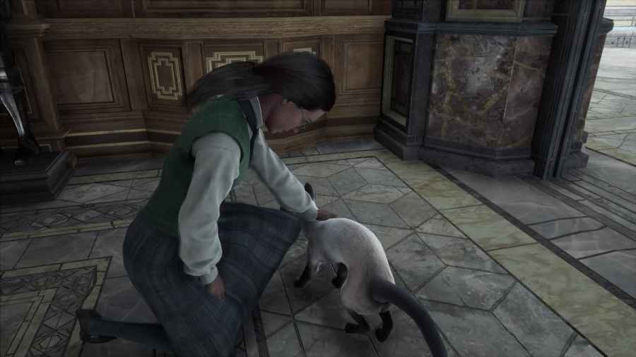 Screenshot by Pro Game Guides