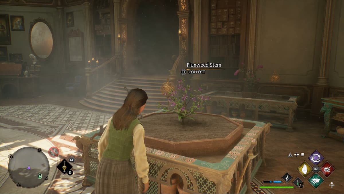 How to Plant Fluxweed in Hogwarts Legacy Pro Game Guides