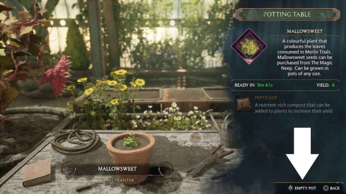 How to obtain Dittany Leaves in Hogwarts Legacy?