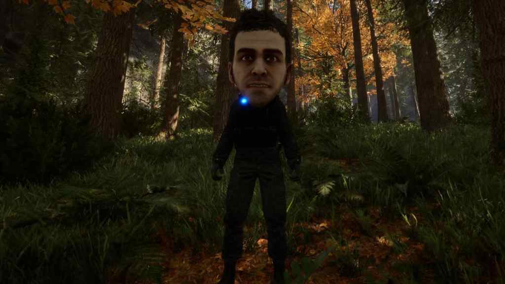How to use developer mode in sons of the forest