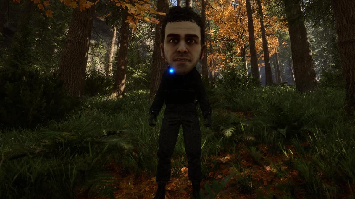 How to use Developer Mode in Sons of the Forest