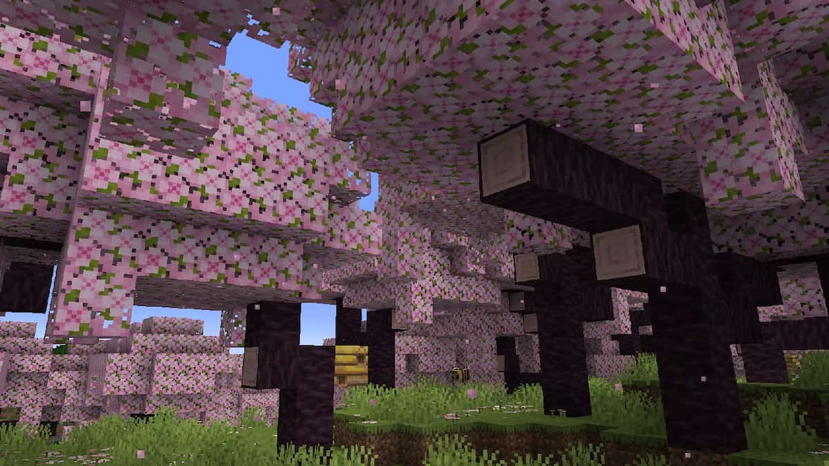 All about Minecraft's Cherry Blossom Biome coming in 1.20 Pro Game Guides