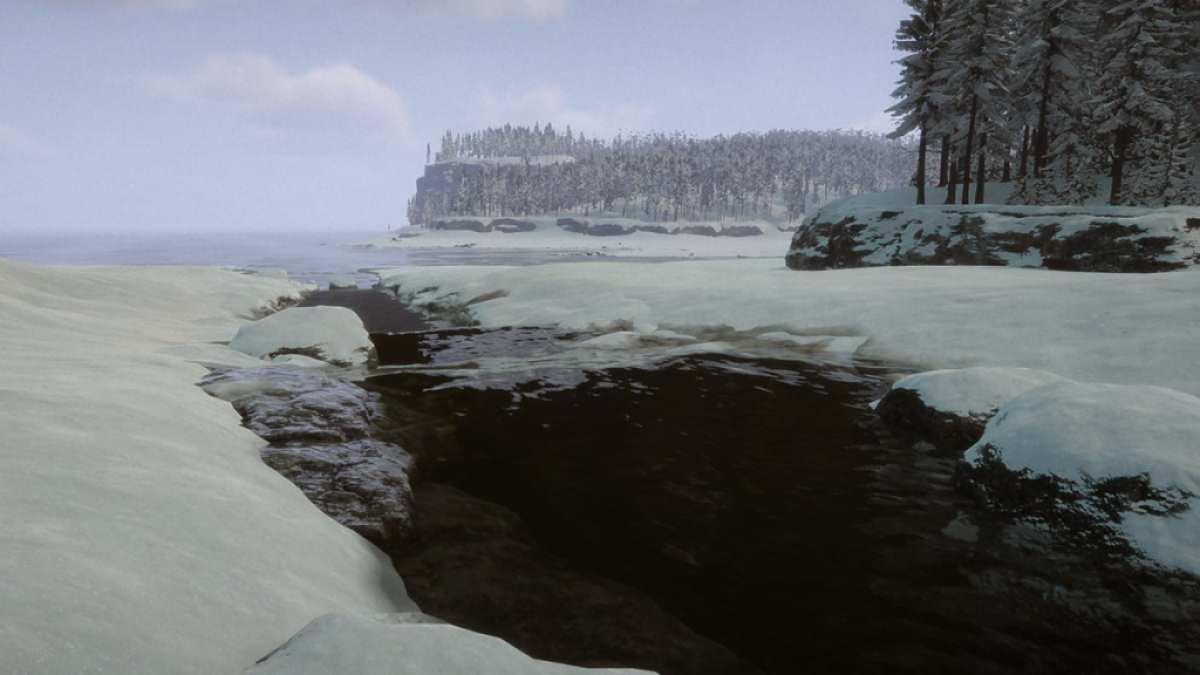 Sons of the Forest: Where to find water during winter in video