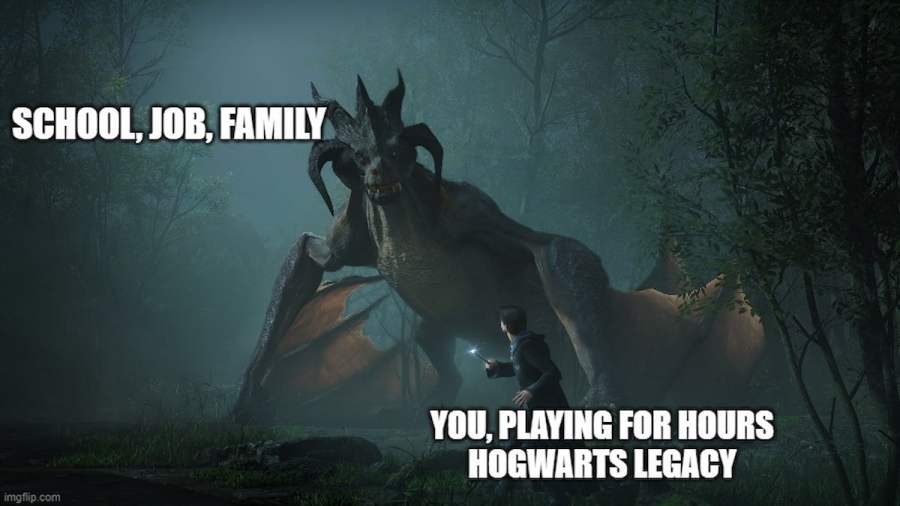 Funny Hogwarts Legacy memes
