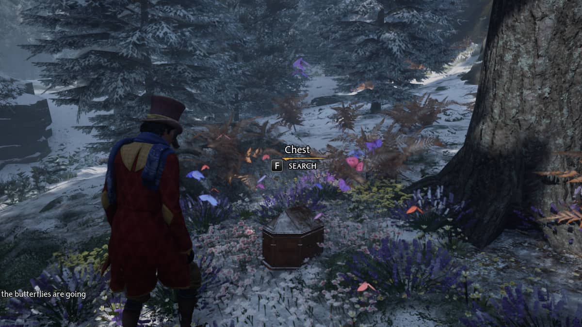 Where to find the butterflies in the forbidden forest in Hogwarts