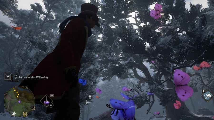 Where to find the butterflies in the forbidden forest in Hogwarts